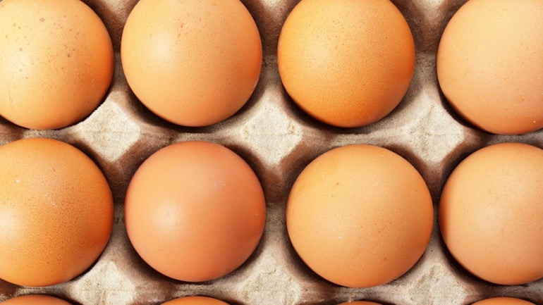 Ολλανδία: Συλλήψεις δύο υπόπτων για το σκάνδαλο με τα μολυσμένα αυγά